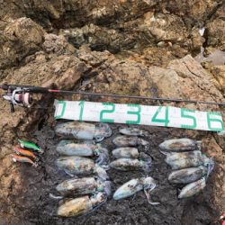 2021 佐渡ヶ島エギング 14回目