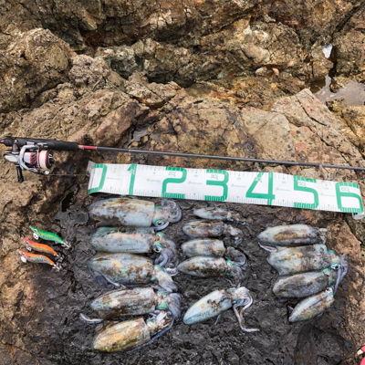 2021 佐渡ヶ島エギング 14回目