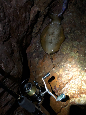 台風ウネリで苦戦