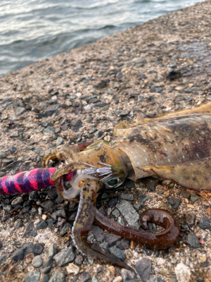 波と風と潮が…