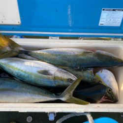 淡路島で落とし込み