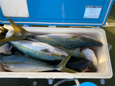 淡路島で落とし込み