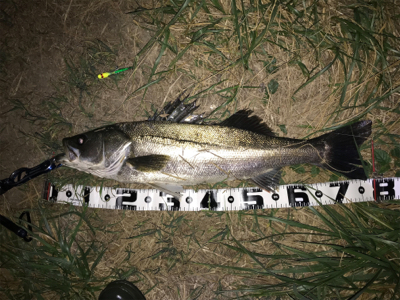 ランカーまで後2cm(>_<)…