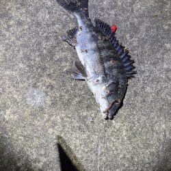 仕事帰りにぶっこみ