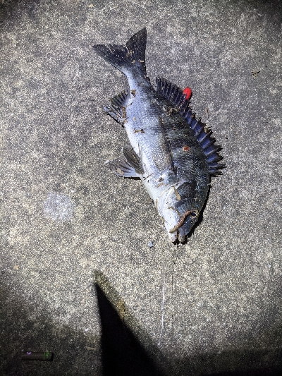 仕事帰りにぶっこみ