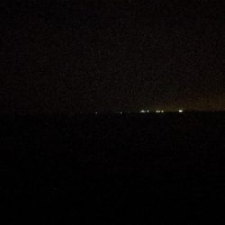 フナムシでアコウを釣るw