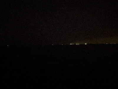 フナムシでアコウを釣るw