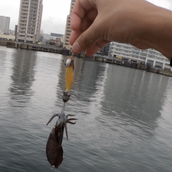 すくすく成長中!