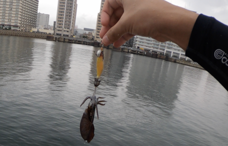 すくすく成長中！