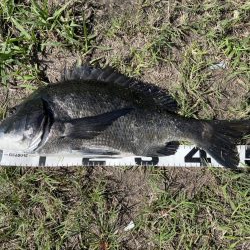 イチノ兄弟、釣果!