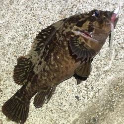 久しぶりの釣行