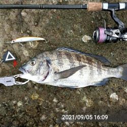 青物調査のハズが・・・！