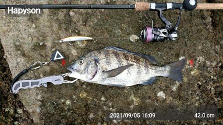 青物調査のハズが・・・！