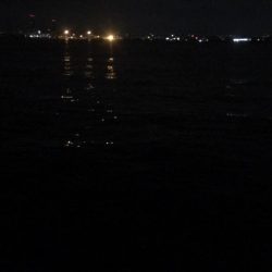 初めてのタチウオ釣り