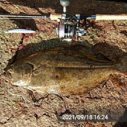 久々のウェーディング！