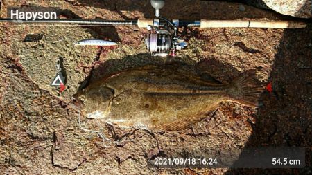 久々のウェーディング！