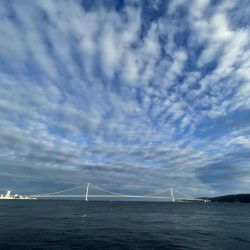 久々のケンサキGET!!