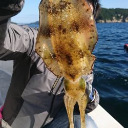 ボートエギング