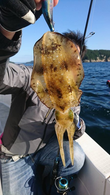 ボートエギング