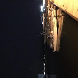 うりぼうたらけその２