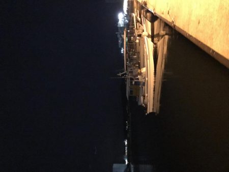 うりぼうたらけその２