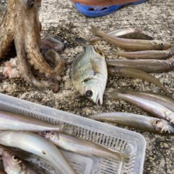 キス狙いで大満足！