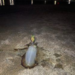 2人で4杯　しぶかった。