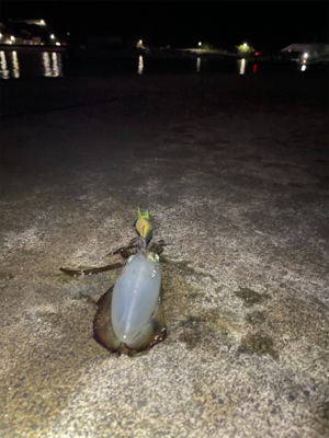 2人で4杯　しぶかった。