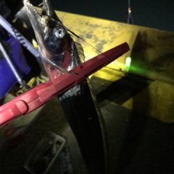 2時まではコンスタントに釣れていたのだが、、、