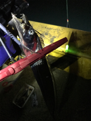 2時まではコンスタントに釣れていたのだが、、、