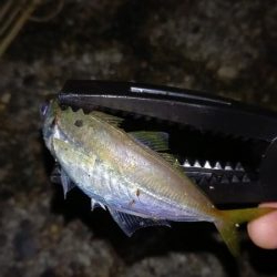 ONOKOROはサバ地獄