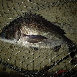 透明度は高いが