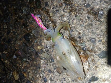 トンカツまでもう少し