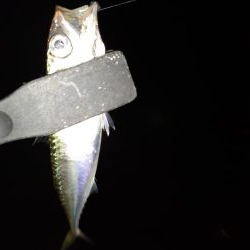 ライトゲーム45