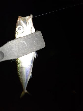 ライトゲーム45