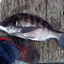 誤爆が多めでした。