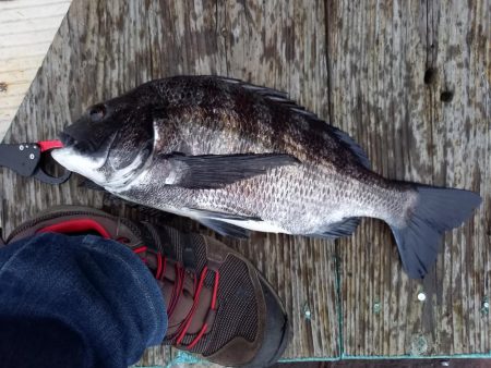 誤爆が多めでした。