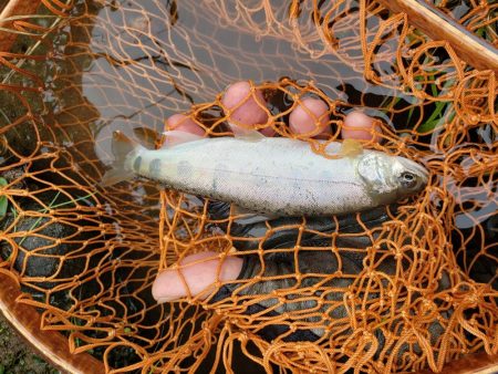 久々にデカイの出たが、、、