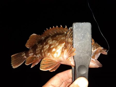 ライトゲーム47