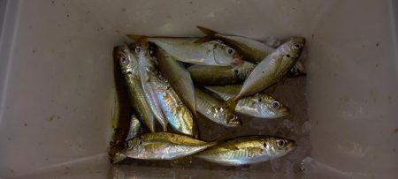 南蛮漬けの材料調達