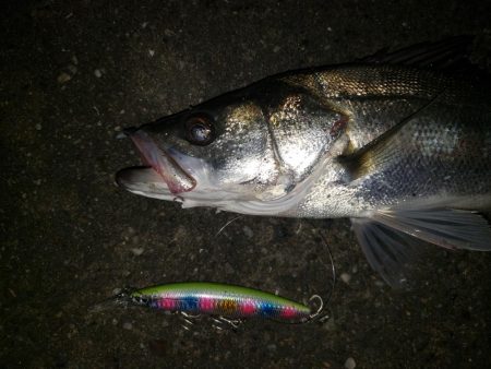 夜練釣行
