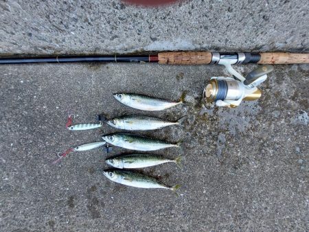 プチsalt water game