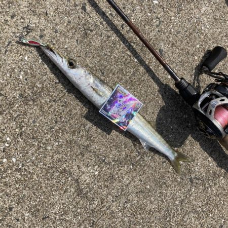 A.P.Pフィッシングガイドサービス　ポイ…