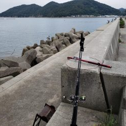 今日はヒラ祭り