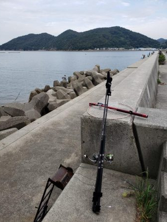 今日はヒラ祭り