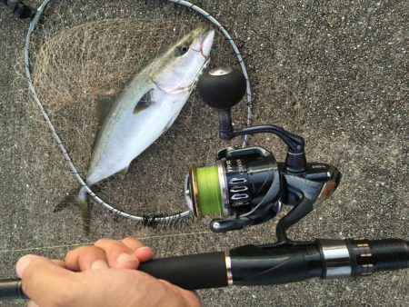 ミドル級ナイスファイター