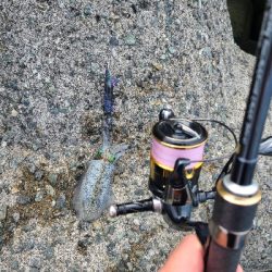 夜勤明けエギング