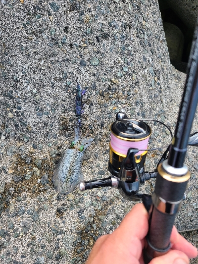 夜勤明けエギング