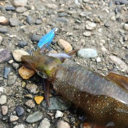 日本海のポテンシャルは高すぎる！