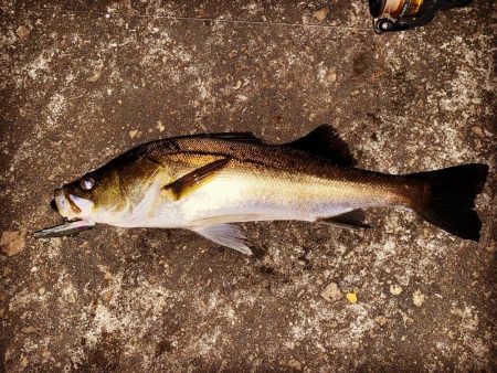 1時間ナイトゲーム